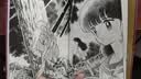 犬夜叉漫画（简中版 完整全套56册）高桥留美子 第47届小学馆漫画赏 经典日漫全集 戈薇杀生丸桔梗奈落四魂之玉 实拍图