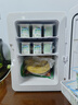 新飞 （Frestec）车载冰箱 20L小冰箱 迷你母乳冰箱家用露营户外家居用品冷暖箱 实拍图