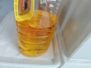 金龙鱼 食用油 非转基因压榨一级玉米胚芽油4L(新老包装随机发货) 实拍图