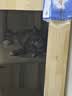 N1 爱宠爱猫n1活性炭纯豆腐猫砂6.5kg大包植物砂升级2.0mm颗粒易结团可冲厕所 实拍图