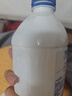卡士（CLASSY.KISS）【全程冷链】100g*6杯乳酸菌原味酸奶 低温酸奶 风味发酵乳 实拍图