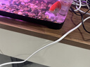 阔庭（KUOTING）鱼缸水族箱客厅桌面生态造景家用带灯制氧过滤鱼缸黑色【超大号】 实拍图