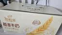 伊利谷粒多燕麦牛奶整箱 200ml*12盒 礼盒装 普通装混发 4月 实拍图