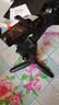 逗映（FUNSNAP）CM8 手机云台稳定器三轴防抖手持手势跟拍云台自拍杆AI跟拍智能追踪直播vlog拍摄神器 实拍图