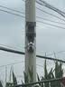 霸天安4G太阳能室外监控AI黑光摄像头终身免流量无电无网手机远程农村监控器360度无死角带夜视全景高清 实拍图
