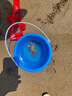 妙贝乐儿童沙滩玩具宝宝海边玩沙挖沙铲子水桶沙漏挖土工具套装沙池推车 实拍图