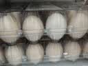 带根香菜100g 实拍图