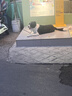 十二苓芝劳保鞋男透气防砸防刺穿耐磨轻便透气工作安全防护功能鞋521 43 实拍图