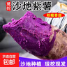 紫罗兰红薯沙地现挖紫薯宝宝辅食紫芋头山芋苕粗粮新鲜包邮 紫薯3斤大果 优选款 实拍图