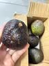 秘鲁进口哈斯牛油果 老树奶酪牛油果 新鲜孕妇水果宝宝辅食鳄梨 单果净重：130-160g 4粒独享装 实拍图