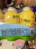 金豆芽儿童金银花柚子汁155ml*16瓶夏天孩子饮料宝宝果汁西柚汁 实拍图