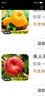 禾人平谷桃 平谷大桃鲜桃礼盒 北京平谷桃礼盒 生鲜水果 黄油蟠桃5斤+【特级礼盒装】 实拍图