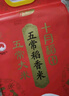 十月稻田 生态稻香米 20斤（东北大米 香米 10kg/公斤） 实拍图