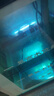鲸与光鱼池杀菌灯潜水式紫外线灯鱼缸水族箱除藻灯户外uv消毒防水  水族杀菌灯  升级2代 实拍图