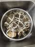【活蟹】乾澄大闸蟹现货 全母蟹2.5-2.8两 8只 去绳足重鲜活六月黄螃蟹海鲜礼盒 实拍图