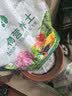漫生活16L进口营养土通用型 种菜土养花土进口泥炭土椰糠花卉有机土壤 实拍图