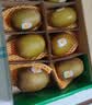 佳沛（zespri）新西兰阳光金果10个装单果重约103-114g 水果礼盒 猕猴桃 实拍图