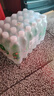 依能 青柠檬味苏打水饮料 无糖无汽弱碱 500ml*24瓶 塑膜装饮品 实拍图