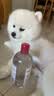 贝德玛（BIODERMA）粉水敏感肌洗卸温和不伤肤卸妆水水润清爽500ml*2 实拍图