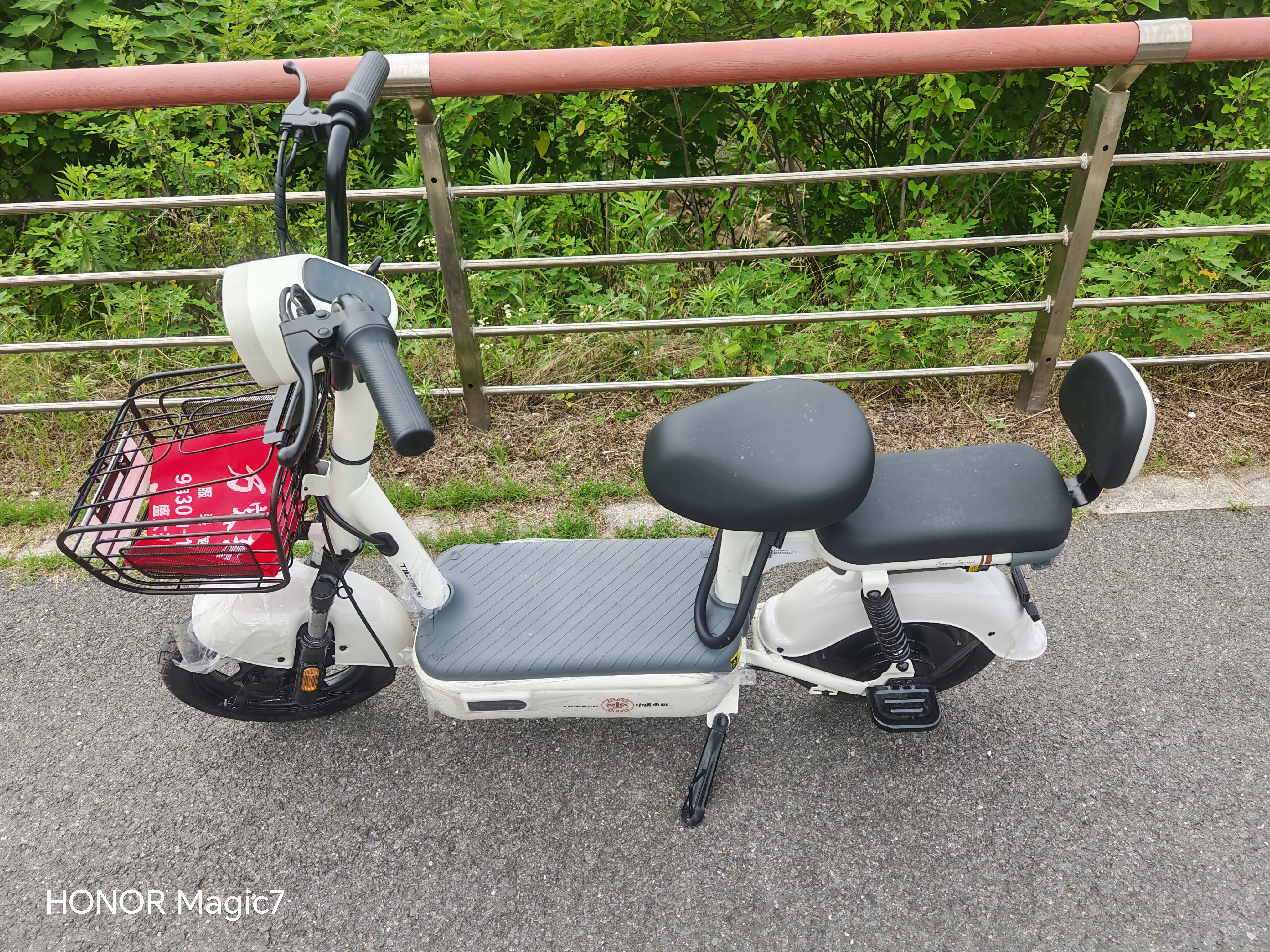 驰小虎电动自行车 吉祥虎新国标电动车电动自行车48V12Ah铅酸电池长续航电瓶车成人代步车电车白色 实拍图