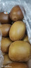 佳沛（zespri）新西兰 阳光金果18粒超大果原箱单果175-204g 猕猴桃水果礼盒 实拍图