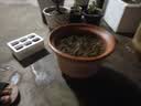 花盆陶瓷花盆特大花盆批发兰花盆紫砂花盆大口径养花透气落地盆 陶瓷花盆口径28+28cm 2个盆 实拍图