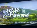 ZIPPO之宝 配件耗材 打火机煤油 133ml小油  打火机油小油 实拍图