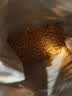 皇家猫粮 幼猫奶糕 幼猫猫粮 BK34 通用粮 1-4月 2KG 实拍图