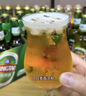青岛啤酒（TsingTao）经典啤酒 600ml*12瓶 升级大容量 整箱装 实拍图