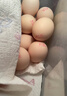 黄天鹅旗舰店正品黄天鹅可生食鸡蛋无沙门氏菌品质鲜蛋礼盒 20枚可生食鸡蛋【单枚约53g】 实拍图