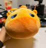 熊猫熊正版水豚噜噜玩偶抱枕娃娃毛绒玩具女生生日七夕情人节礼物送女友 实拍图