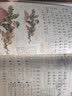 2026斗半匠课堂笔记一年级上册语文人教版黄冈学霸笔记教材全解小学一年级同步教材课前预习课后复习辅导书 实拍图