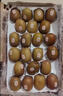 佳沛（zespri）新西兰阳光金奇异果巨大果22粒原箱单果146-175g 猕猴桃水果礼盒 实拍图