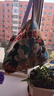 【物超所值】时尚休闲帆布包女单肩包上班托特包帆布袋卡通包包 米老鼠 大包 实拍图