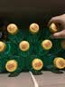 可口可乐（Coca-Cola）雪碧 Sprite 无糖零卡 汽水 碳酸饮料 500ml*24瓶 整箱装 实拍图