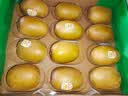 佳沛（zespri）新西兰 阳光金奇异果12粒特大果单果124-146g 猕猴桃水果礼盒 实拍图
