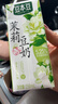 豆本豆茉莉豆奶250ml*20盒整箱.21g植物蛋白饮料营养儿童学生早餐奶礼盒 实拍图