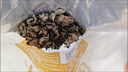十月稻田 东北黑木耳 100g 肉厚无根 干木耳 黑龙江东宁特产 火锅煲汤凉拌 实拍图