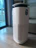 东芝（TOSHIBA）空气净化器宠物净化器大白梨PET去毛除毛大风量除花粉过敏源除尘净化除螨消毒杀菌除味 实拍图