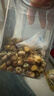 同仁堂品牌 北京同仁堂菊花茶100克 桐乡原产胎菊可搭枸杞玫瑰花化橘红 实拍图