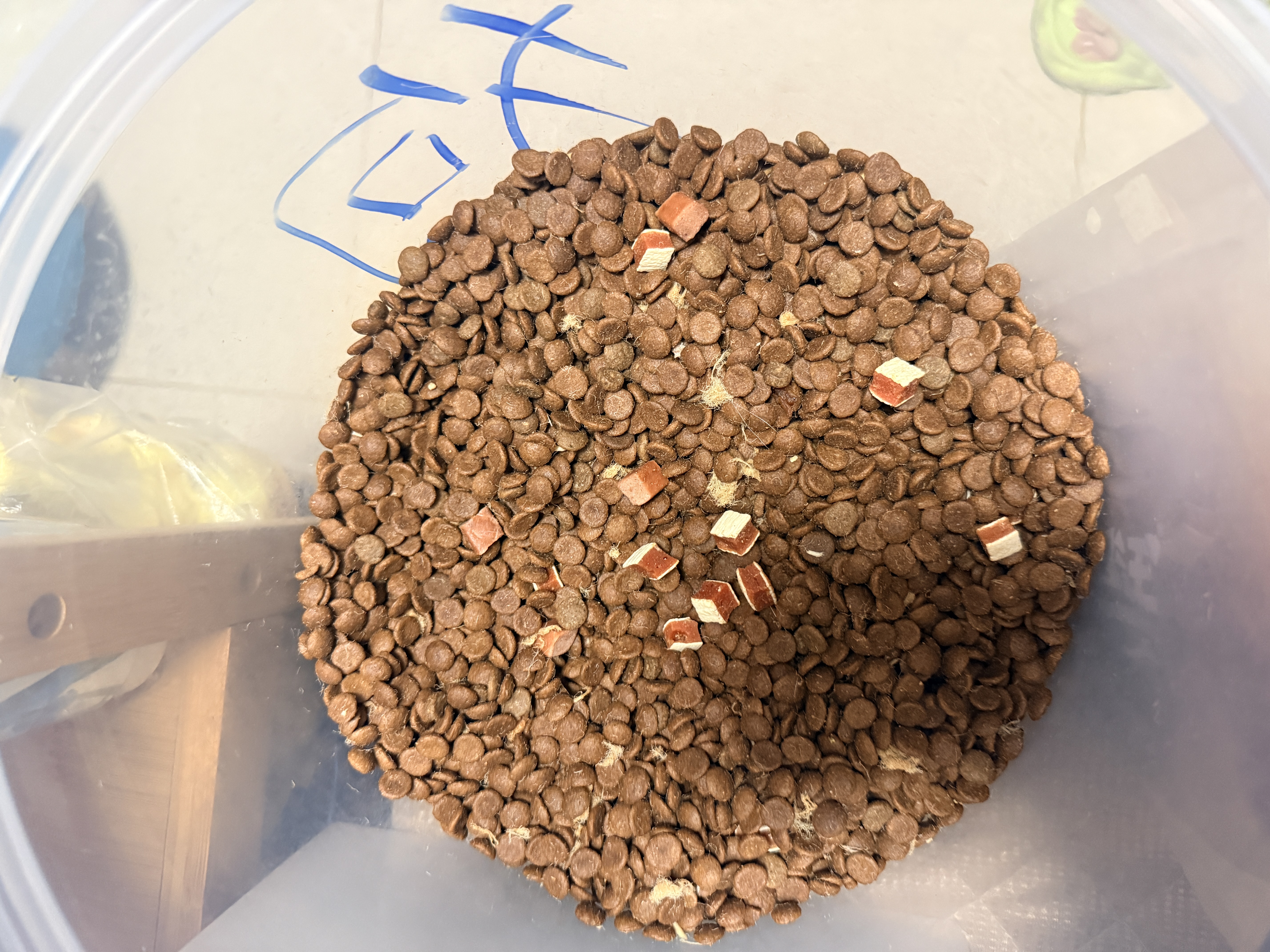 麦富迪狗粮 无谷牛肉双拼狗粮成犬中大型犬专用强健骨骼15kg/30斤 实拍图