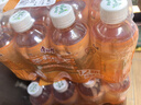 康师傅 茉莉蜜茶 茉莉花茶饮料 小瓶整箱装 330ml*12瓶 热门商品 实拍图