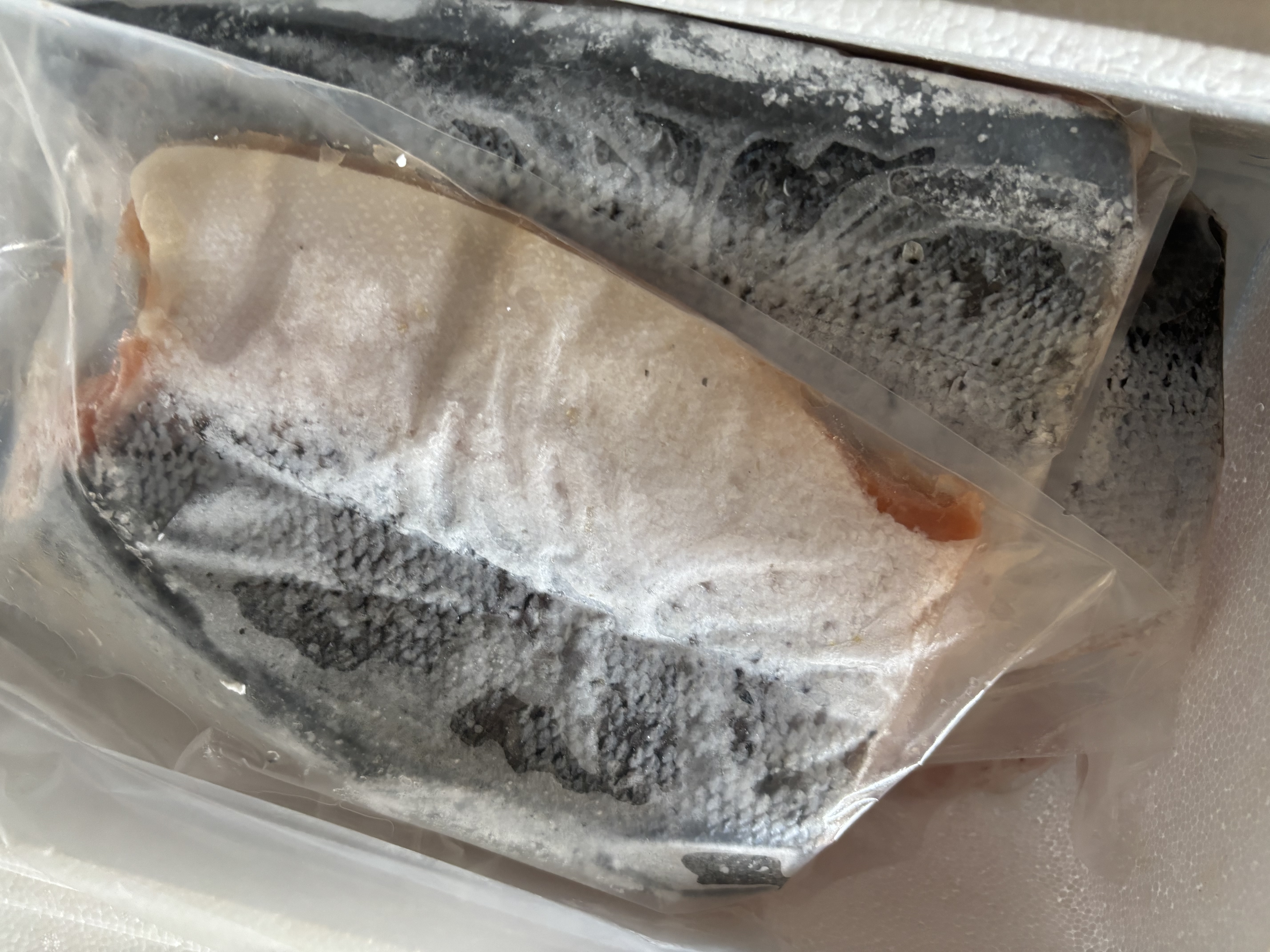 聚鲜品 智利冷冻整条三文鱼(大西洋鲑)14-12斤一条 进口海鲜烹饪食材 帮忙分割发出 实拍图