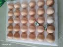 京鲜生 无抗保洁鲜鸡蛋30枚/盒 健康轻食 礼盒送礼 1.5kg/盒 源头直发 实拍图