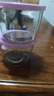 网红咸菜碗玻璃密封罐加厚酱菜盒冰箱保鲜罐小菜泡菜罐分装盒 两只随机装 2个 180ml 实拍图