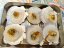 獐子岛 冷冻蒜蓉粉丝扇贝600g 18只 烧烤食材 海鲜生鲜水产预制菜 实拍图