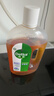 滴露（Dettol）消毒液洗衣衣物消毒水750mL 除螨杀菌混洗无忧 家居地板消毒 非84 实拍图