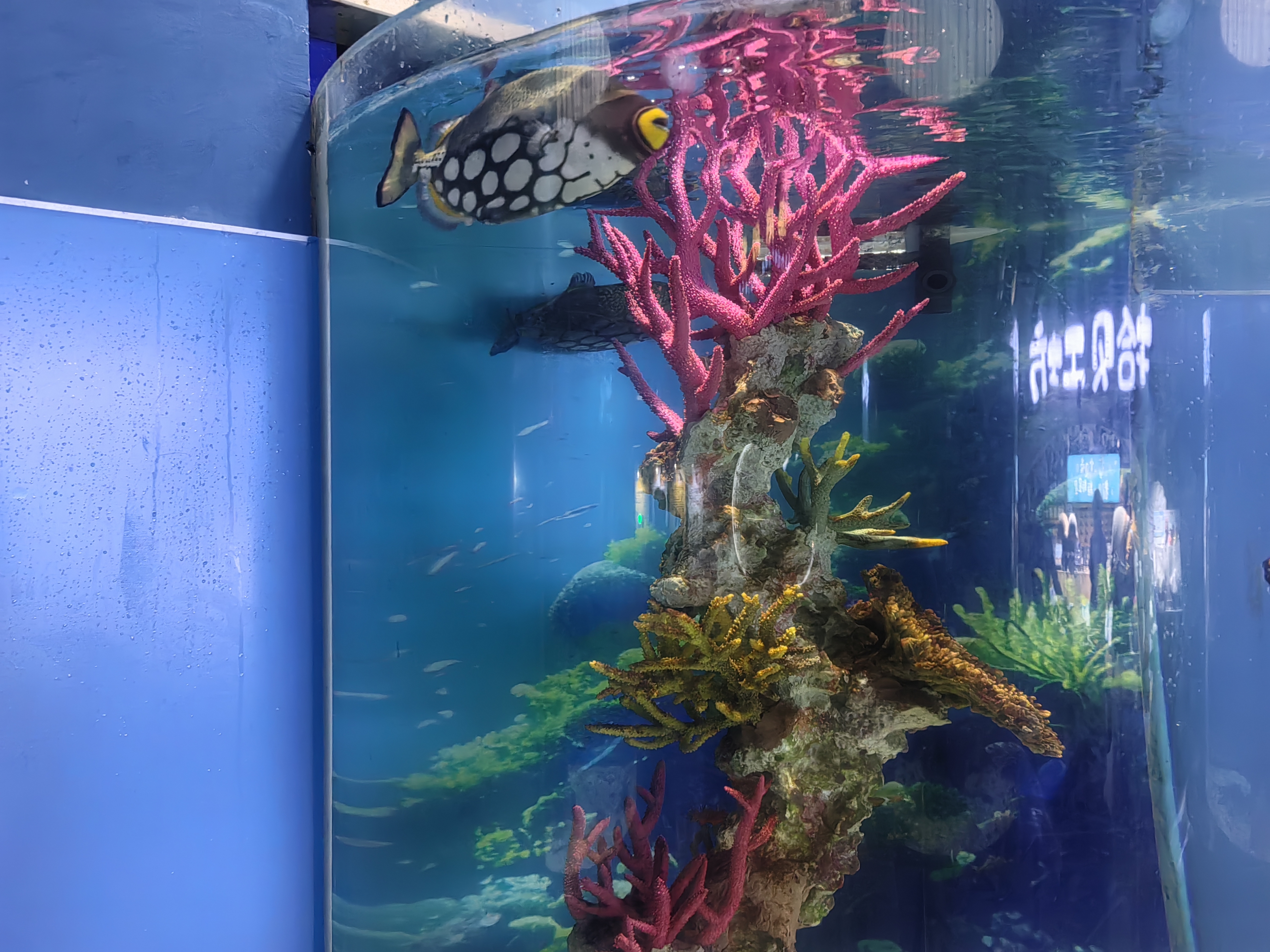 欣美雅 油壶玻璃油罐厨房家用油瓶装油容器酱油醋调料瓶醋壶油罐壶 深空黑700毫升【收藏加购标签】 实拍图