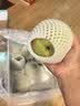 京鲜生【绿色认证】长城山西玉露香梨 7斤装 单果250g+ 生鲜水果礼盒 实拍图