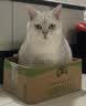 领先成猫尝鲜礼包主食级烘焙猫粮猫条餐盒汤包（新老款随机发货） 实拍图